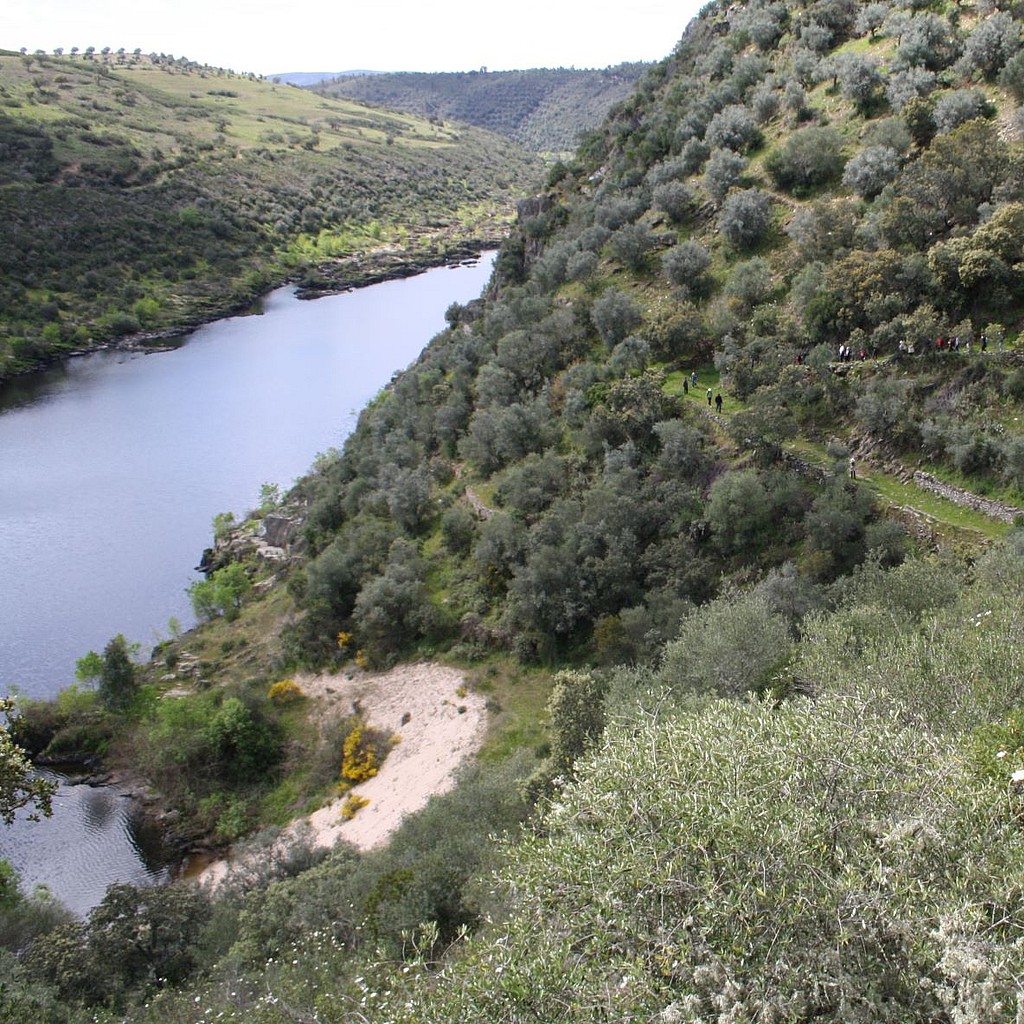 Telhada path where the transhumants have passed the Tejo river by boat for many centuries