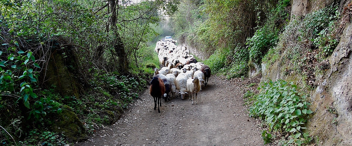 Sentiero Dogana di Blera