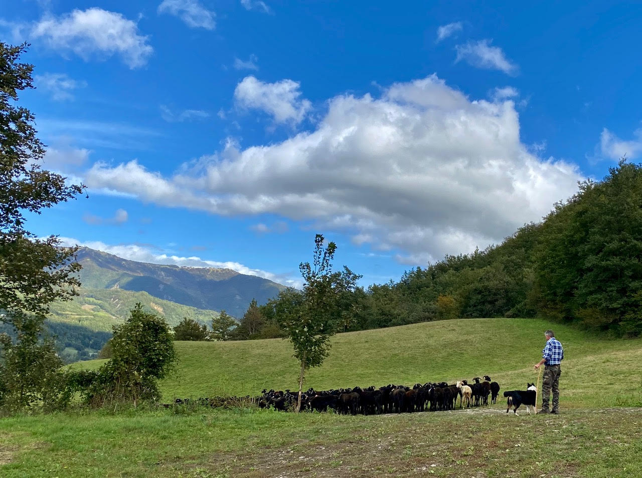 Carlo Boschetti, the last transhumant shepherd in the Lunigiana, Tuscany, 2020 | Barbro Santillo Frizell